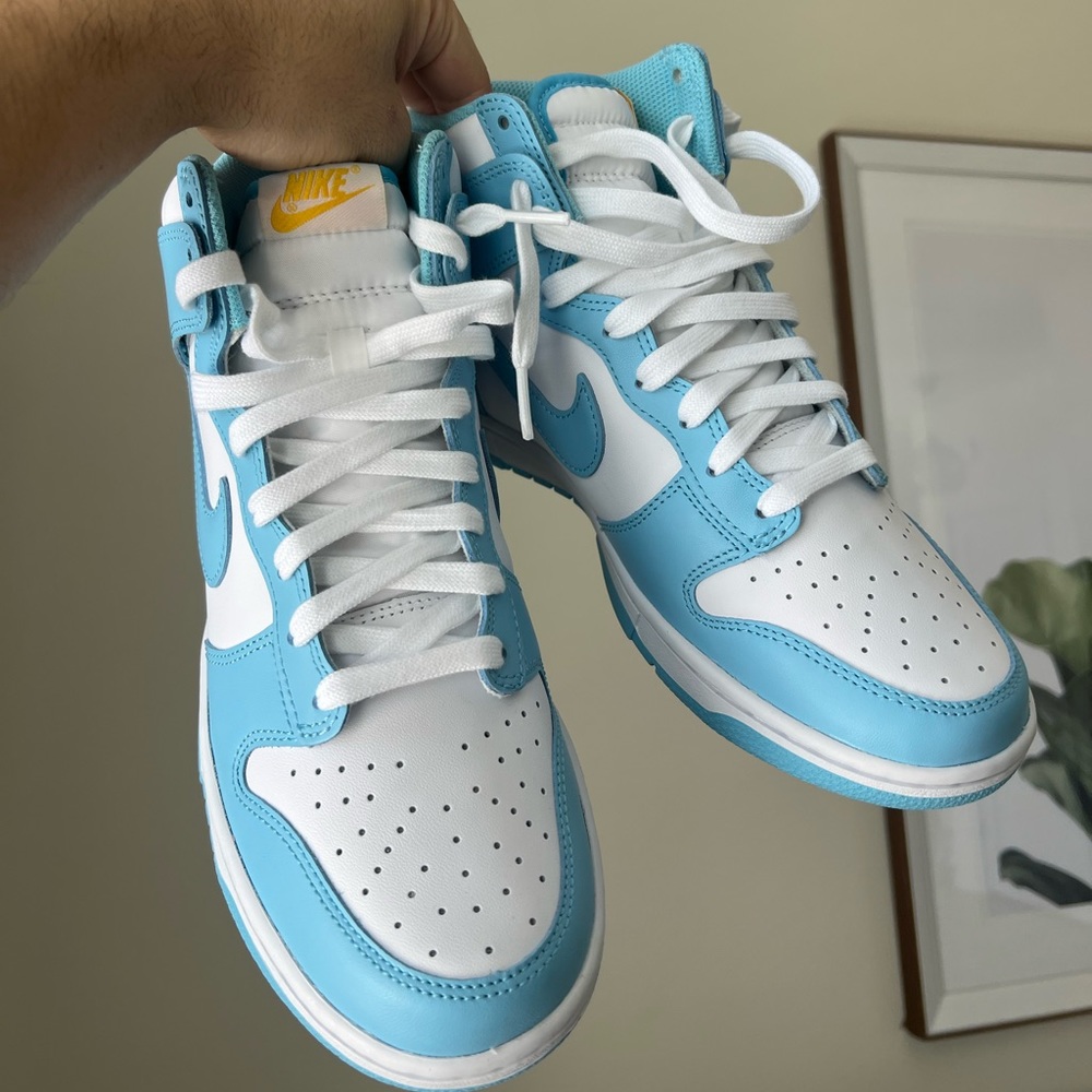 NEW Nike Dunks